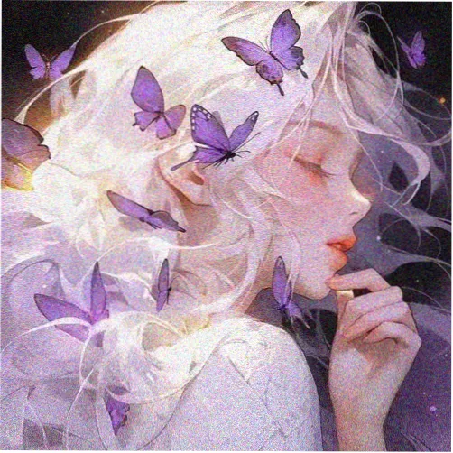 ECHO 朵蜜mv电子